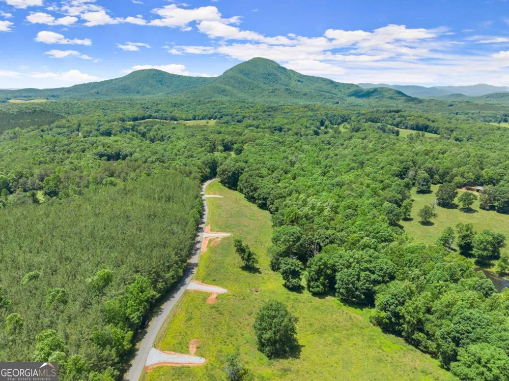 0 Arthur Allen RD Cleveland, GA 30528