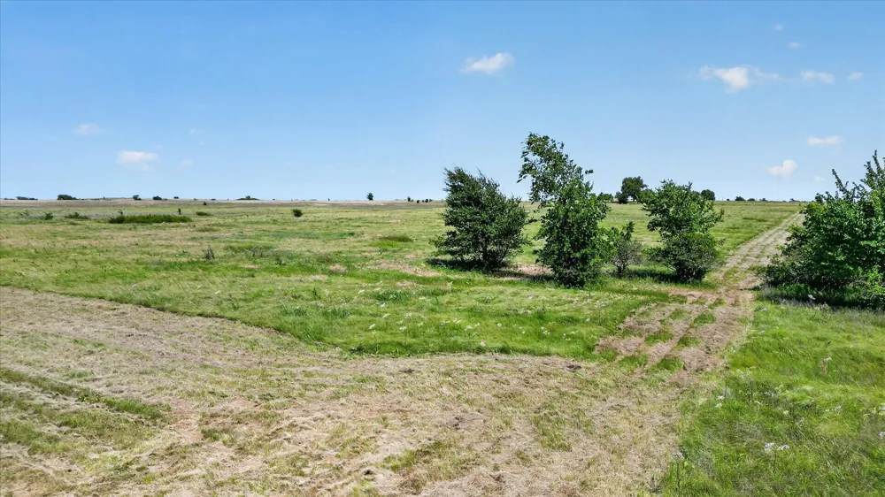 Valentine Bluff Road Forestburg, TX 76239