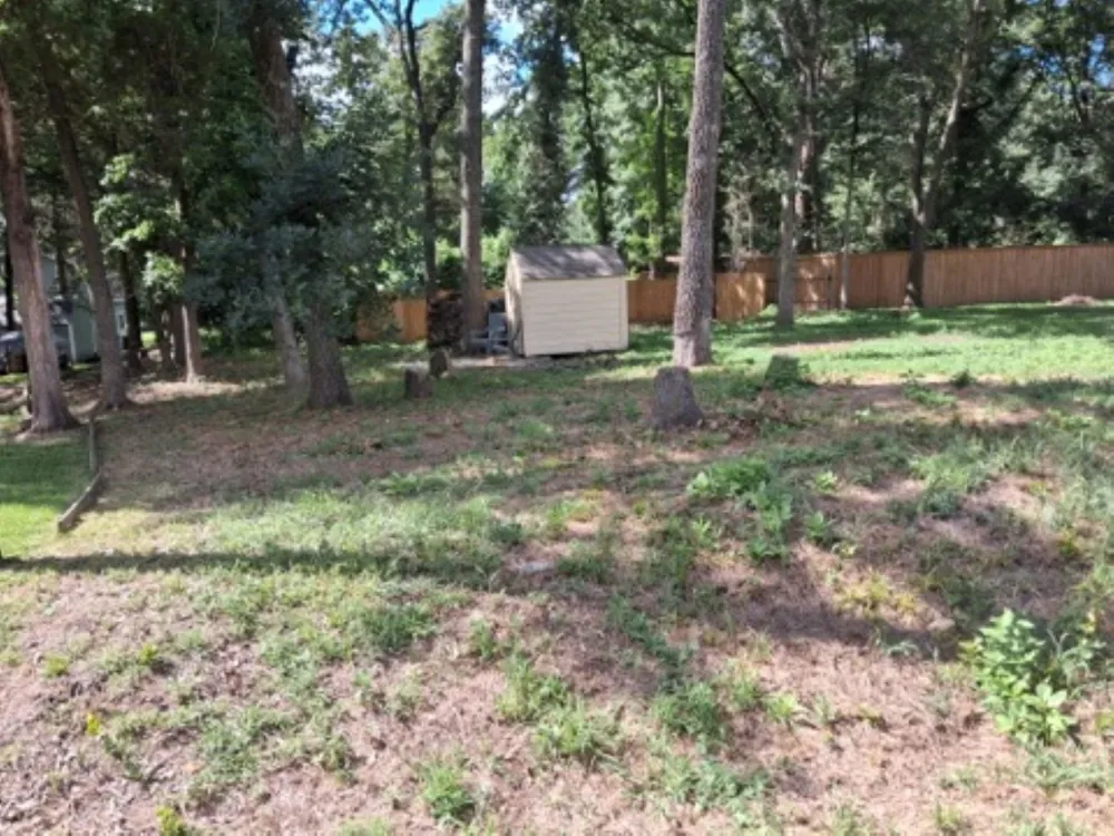 278 E Cedar Lane Murchison, TX 75778