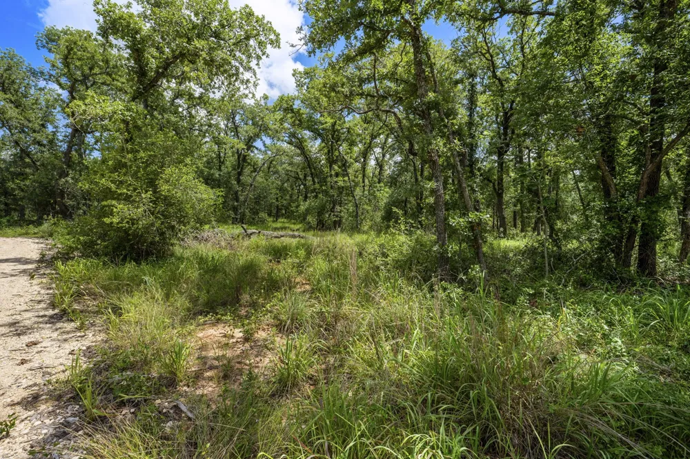 868 County Road 405 Buckholts, TX 76518