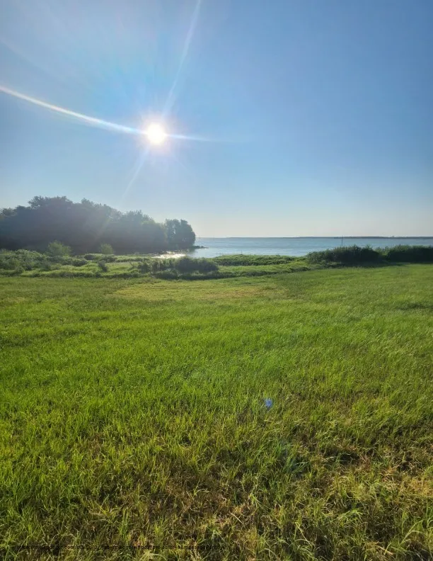 SE County Road Kerens, TX 75144