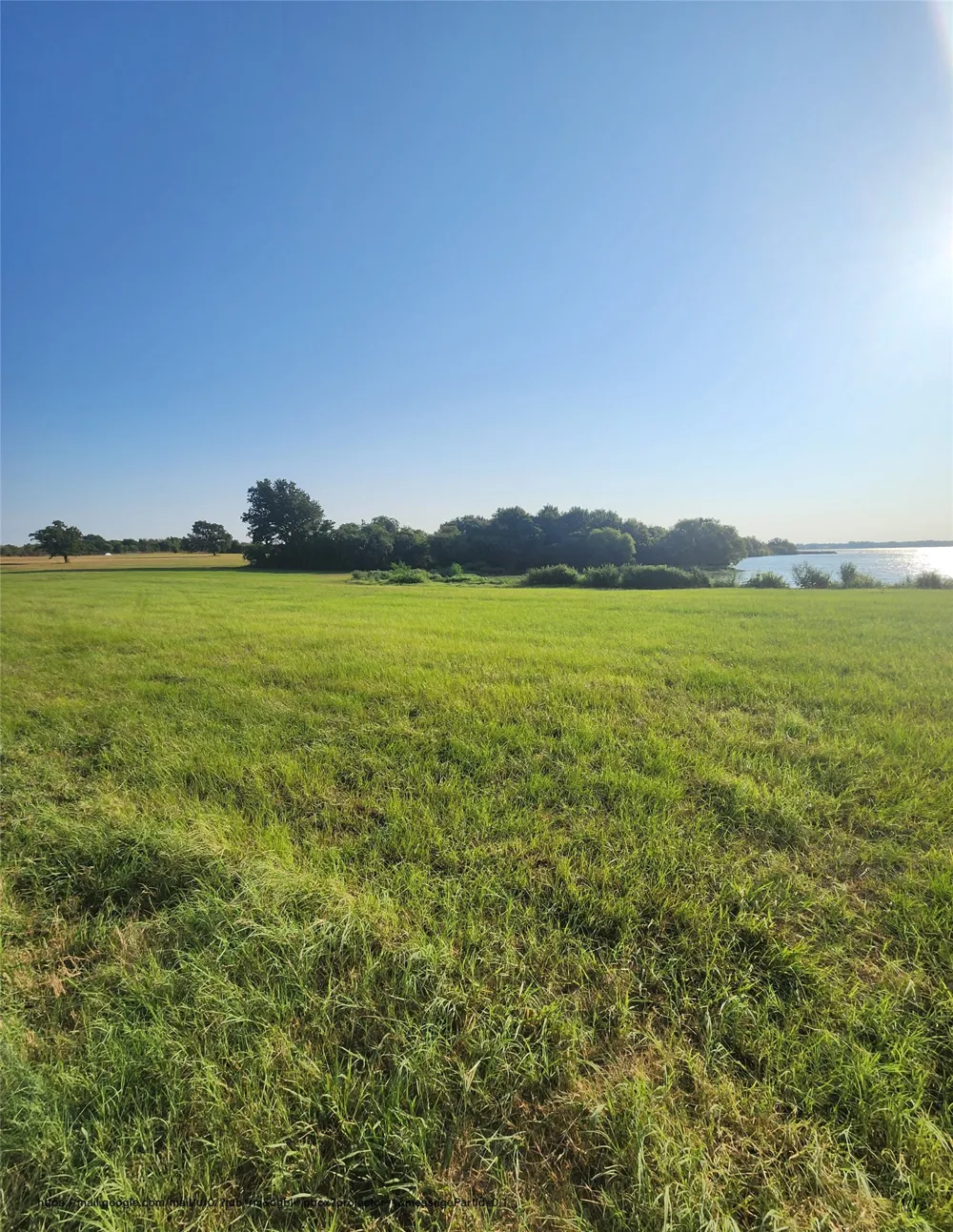 SE County Road Kerens, TX 75144