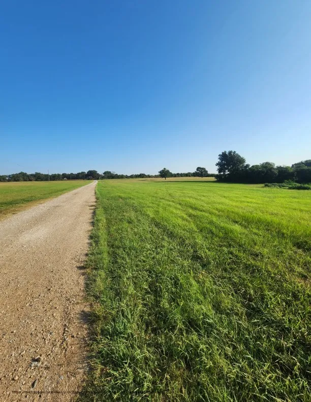 SE County Road Kerens, TX 75144
