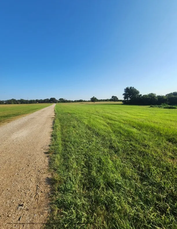 SE County Road Kerens, TX 75144