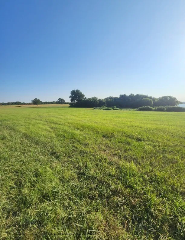 SE County Road Kerens, TX 75144