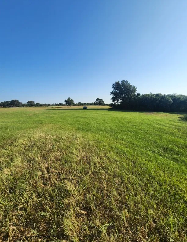 SE County Road Kerens, TX 75144