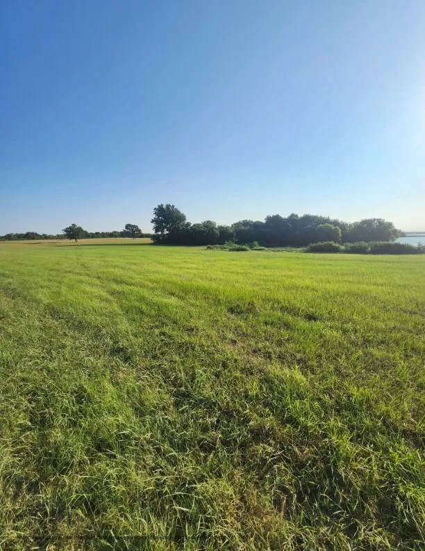 SE County Road Kerens, TX 75144