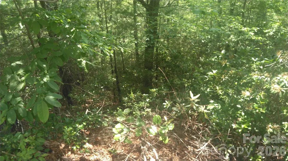 Lot 17 Deer Ridge Trail Marion, NC 28752