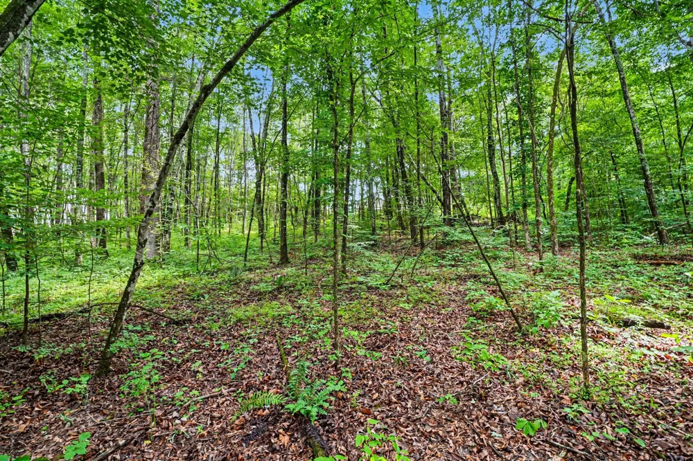1415 Southside Rd Southside, TN 37171