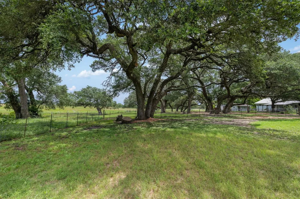 5030 Frenzel Road Round Top, TX 78954