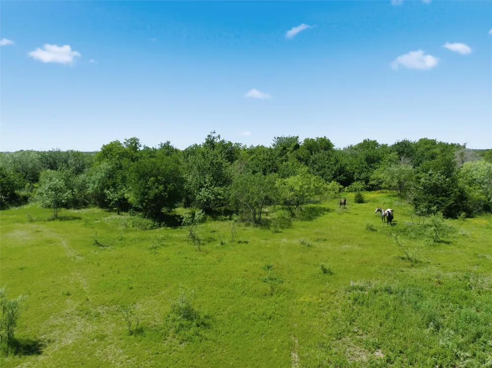 663 Katy Road Elm Mott, TX 76640