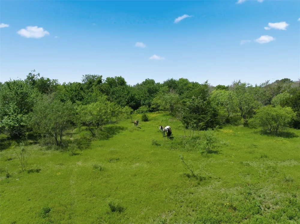 663 Katy Road Elm Mott, TX 76640