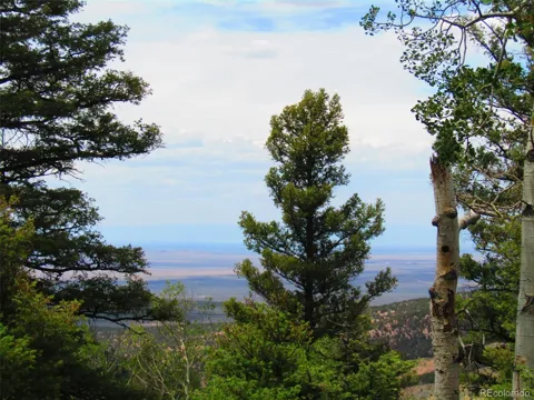 LOT 6029 Spruce Road