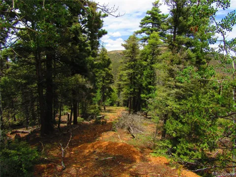 Lot 6028 Spruce Roads
