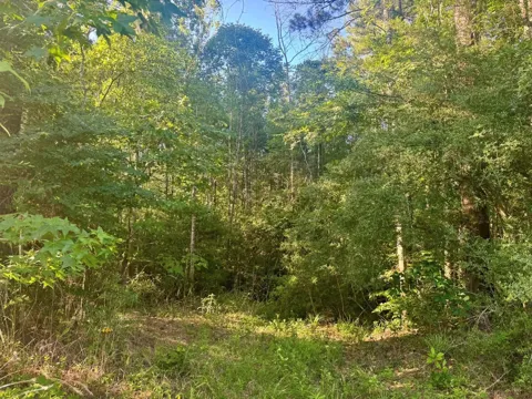 County Road 1039