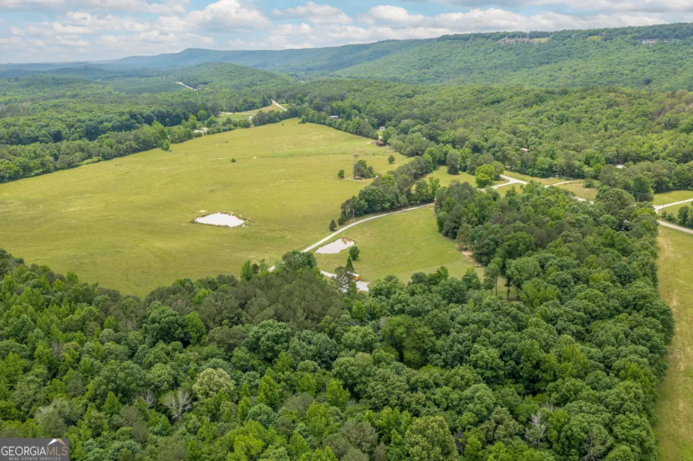 3900 County Road 15 Gaylesville, AL 35973