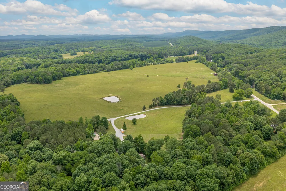3900 County Road 15 Gaylesville, AL 35973