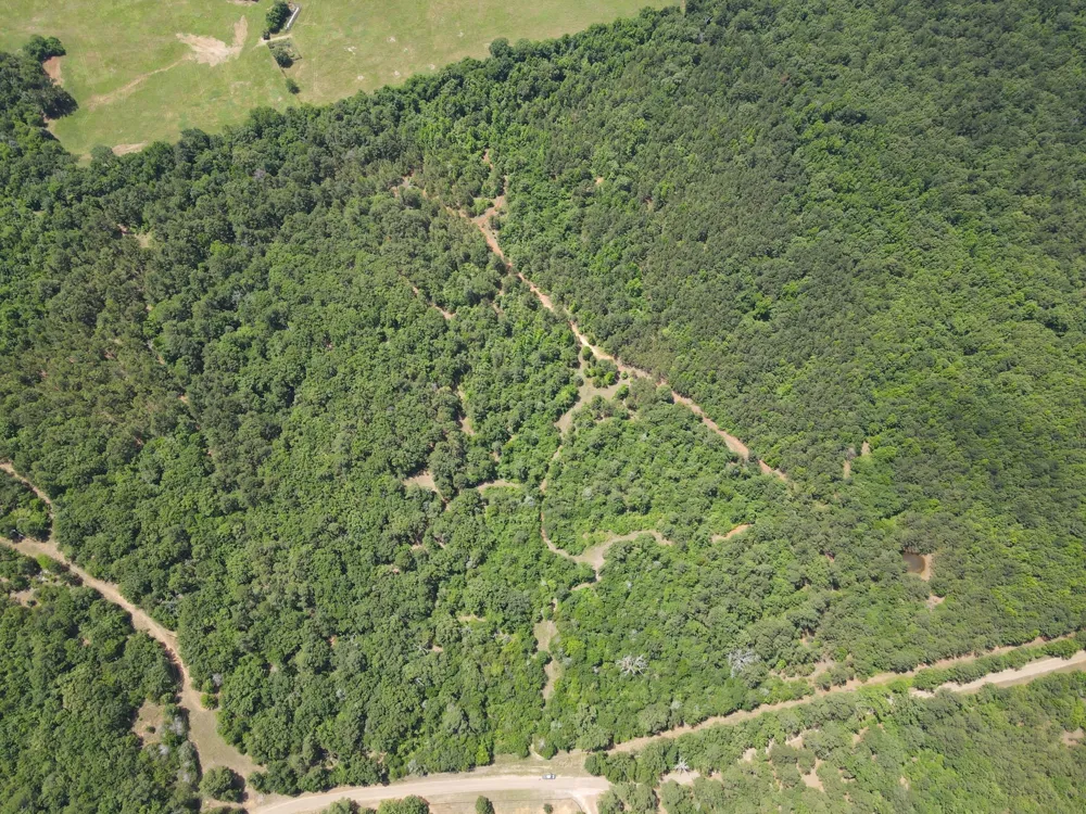 VZ County Road 4814 Ben Wheeler, TX 75754