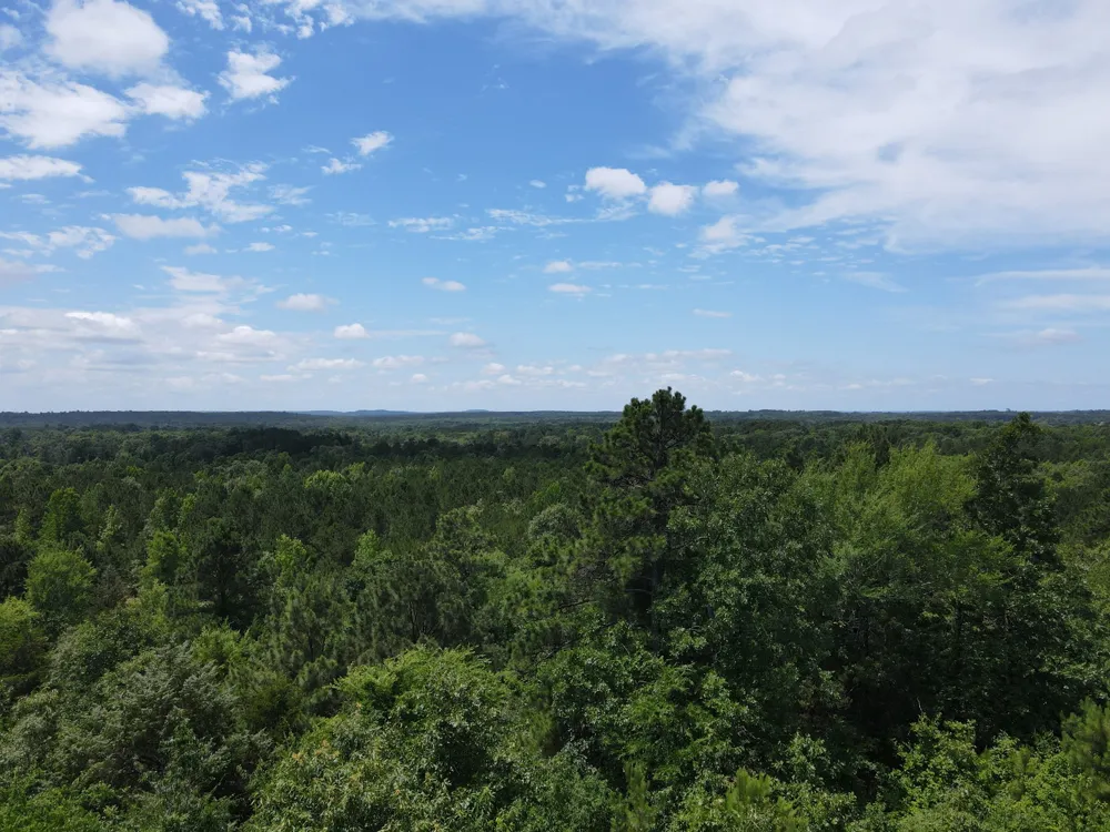 VZ County Road 4814 Ben Wheeler, TX 75754