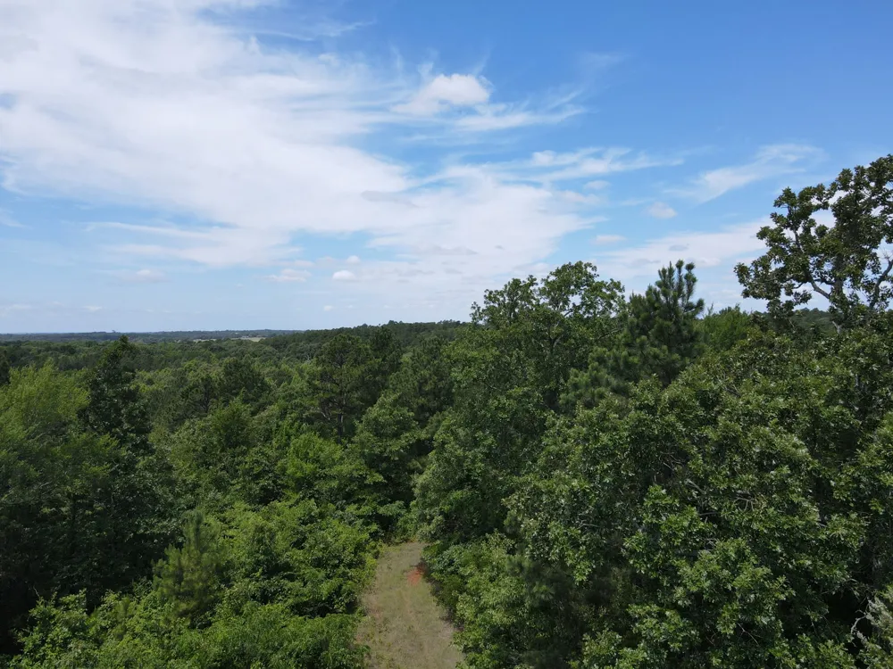 VZ County Road 4814 Ben Wheeler, TX 75754