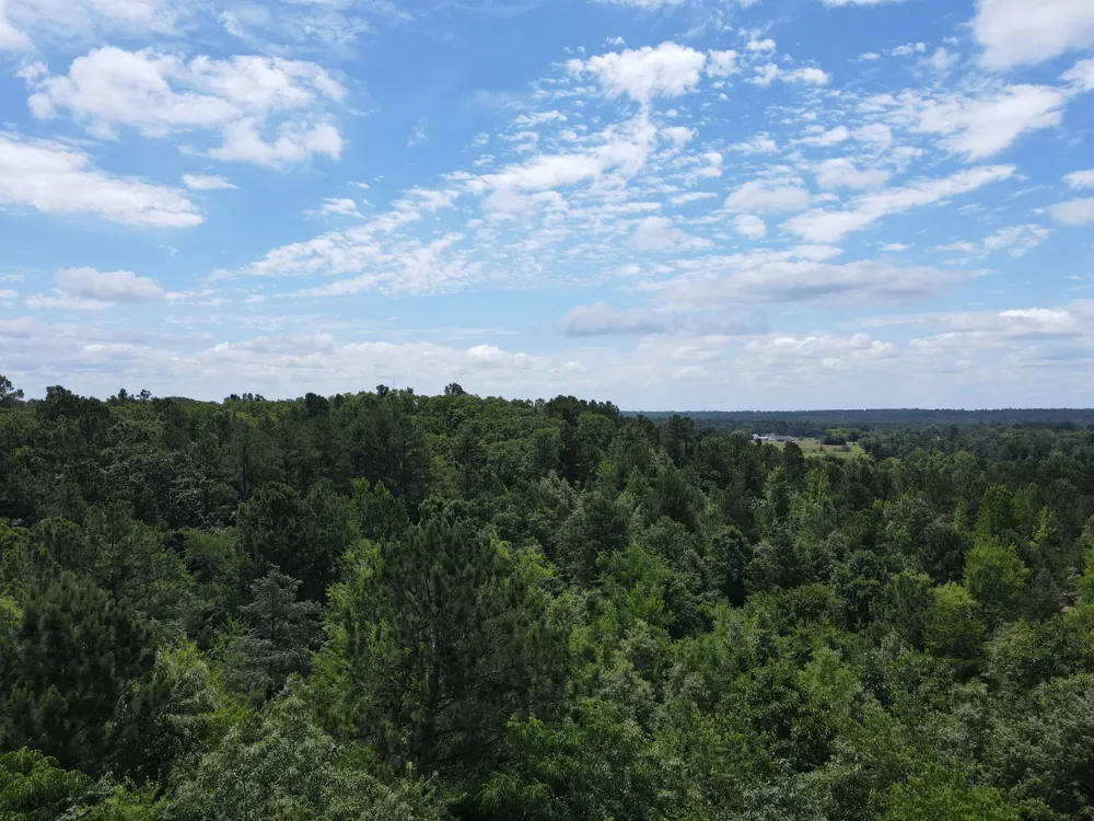 VZ County Road 4814 Ben Wheeler, TX 75754