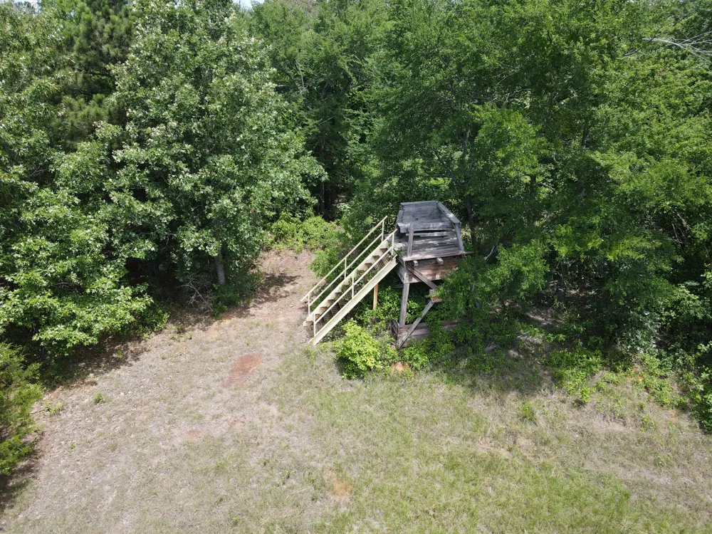 VZ County Road 4814 Ben Wheeler, TX 75754