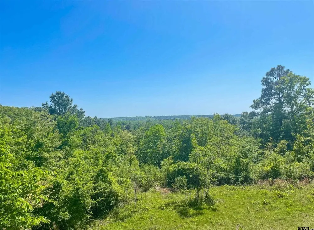VZ County Road 4814 Ben Wheeler, TX 75754