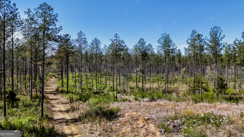 403 ACRES Youngs Farm RD Cedartown, GA 30125