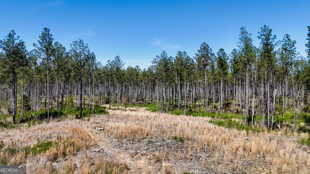 403 ACRES Youngs Farm RD Cedartown, GA 30125