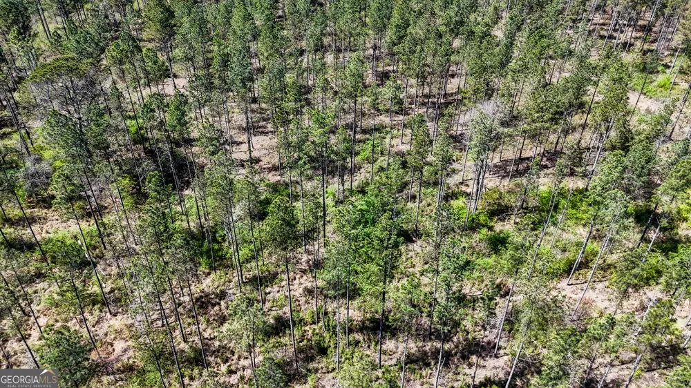 403 ACRES Youngs Farm RD Cedartown, GA 30125