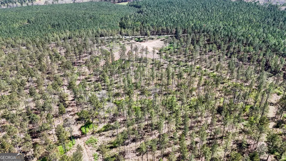 403 ACRES Youngs Farm RD Cedartown, GA 30125