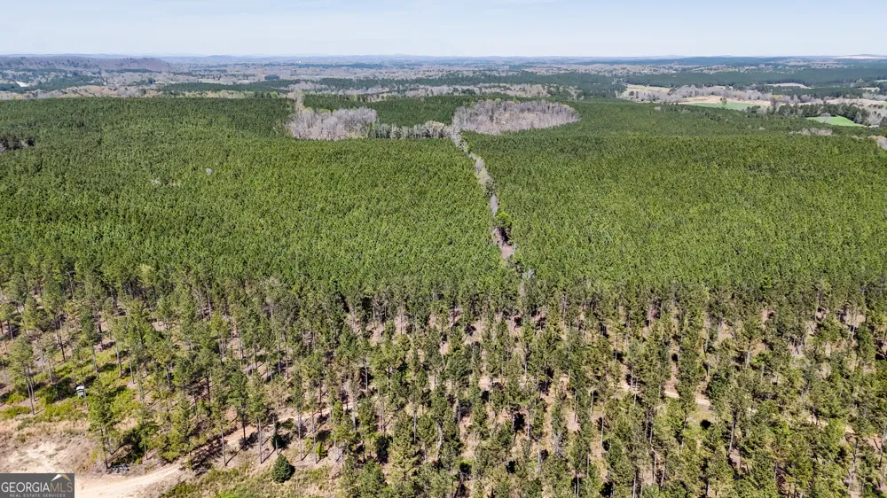 403 ACRES Youngs Farm RD Cedartown, GA 30125