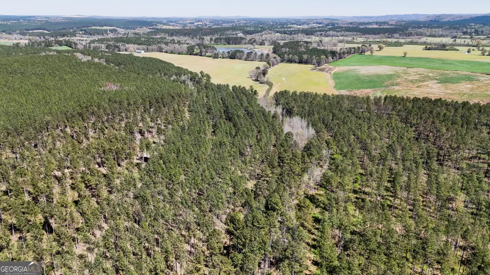 403 ACRES Youngs Farm RD Cedartown, GA 30125