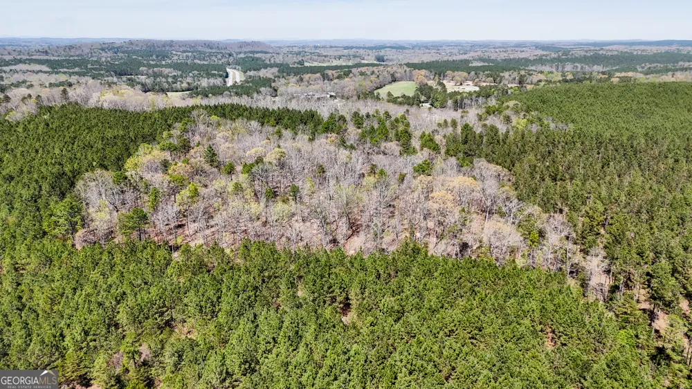 403 ACRES Youngs Farm RD Cedartown, GA 30125