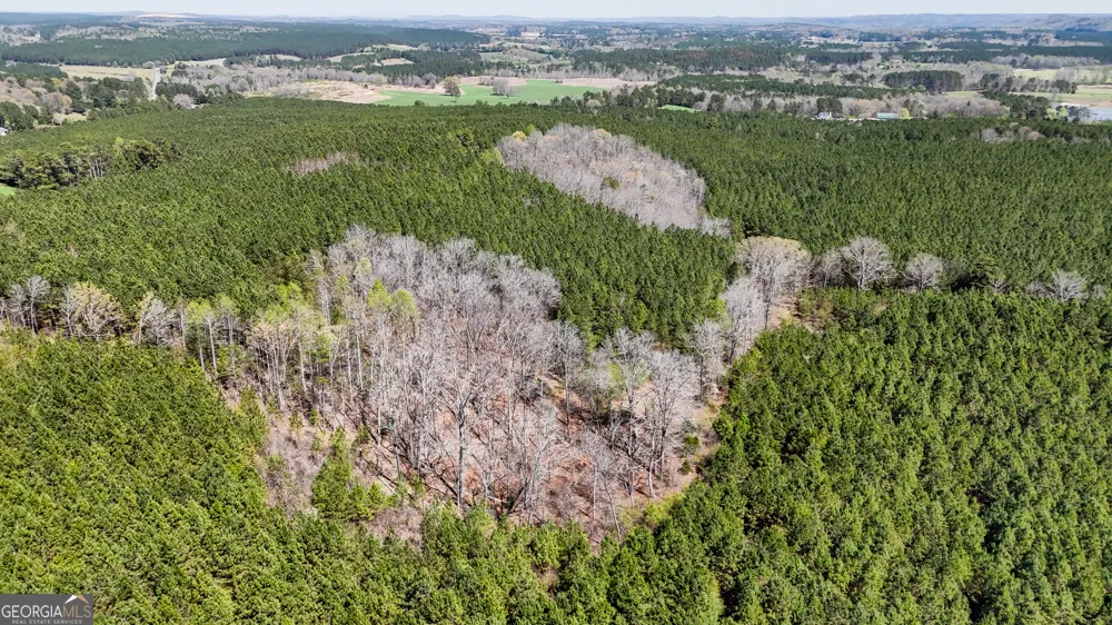 403 ACRES Youngs Farm RD Cedartown, GA 30125