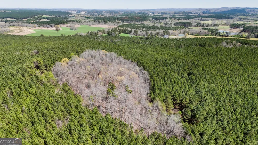 403 ACRES Youngs Farm RD Cedartown, GA 30125