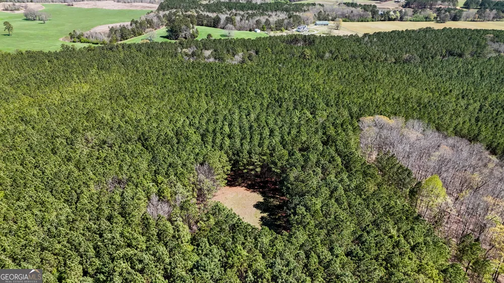 403 ACRES Youngs Farm RD Cedartown, GA 30125