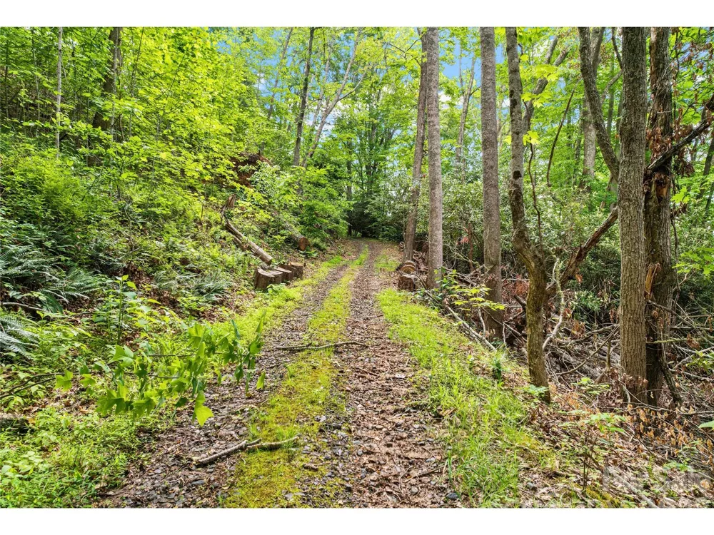 000-000 Bee Branch Road #14AC Bakersville, NC 28705