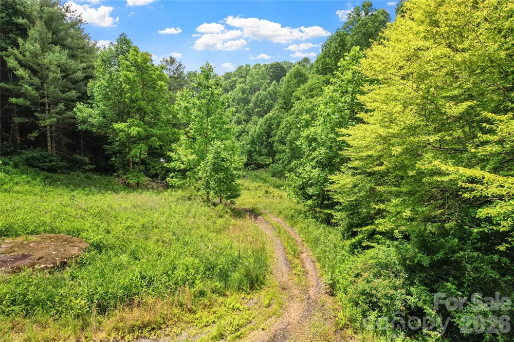 000-000 Bee Branch Road #14AC Bakersville, NC 28705