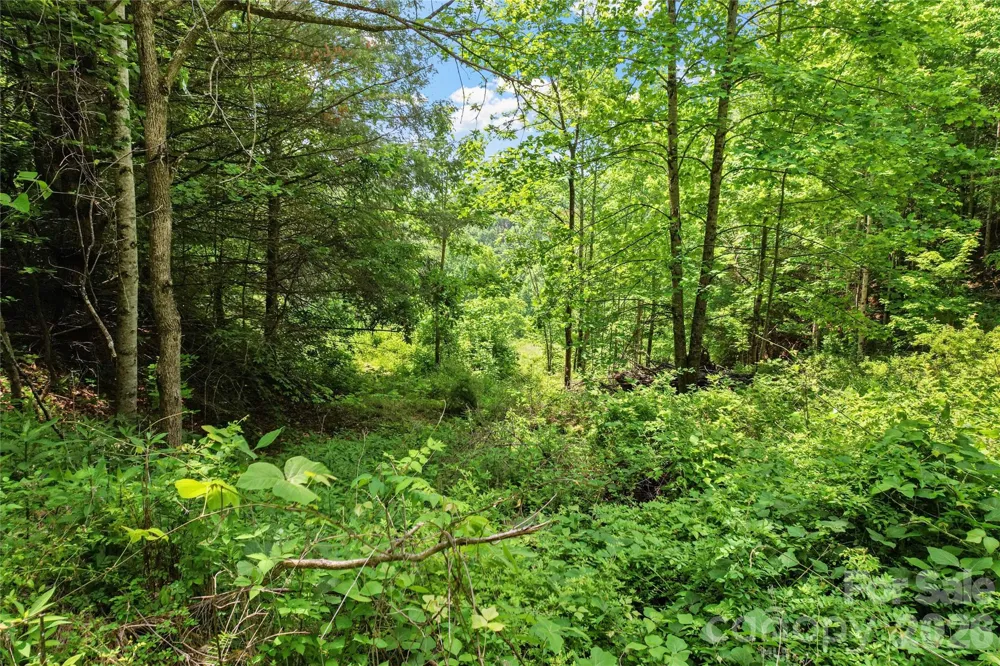 000-000 Bee Branch Road #14AC Bakersville, NC 28705