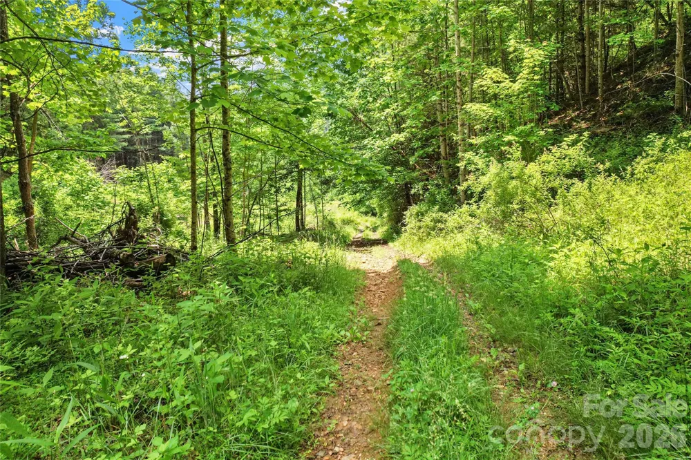 000-000 Bee Branch Road #14AC Bakersville, NC 28705