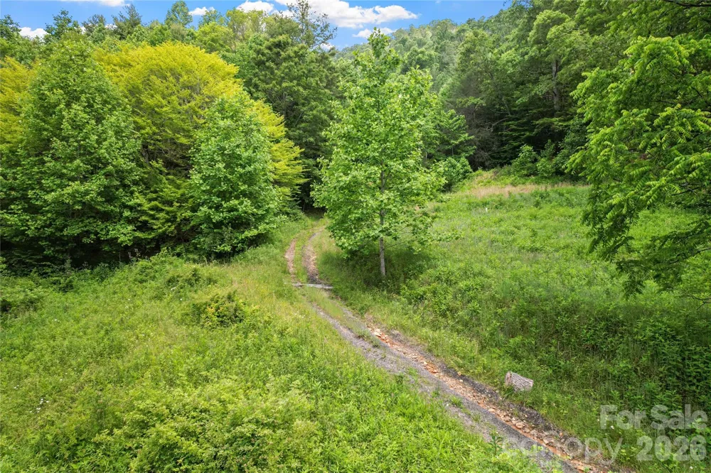 000-000 Bee Branch Road #14AC Bakersville, NC 28705