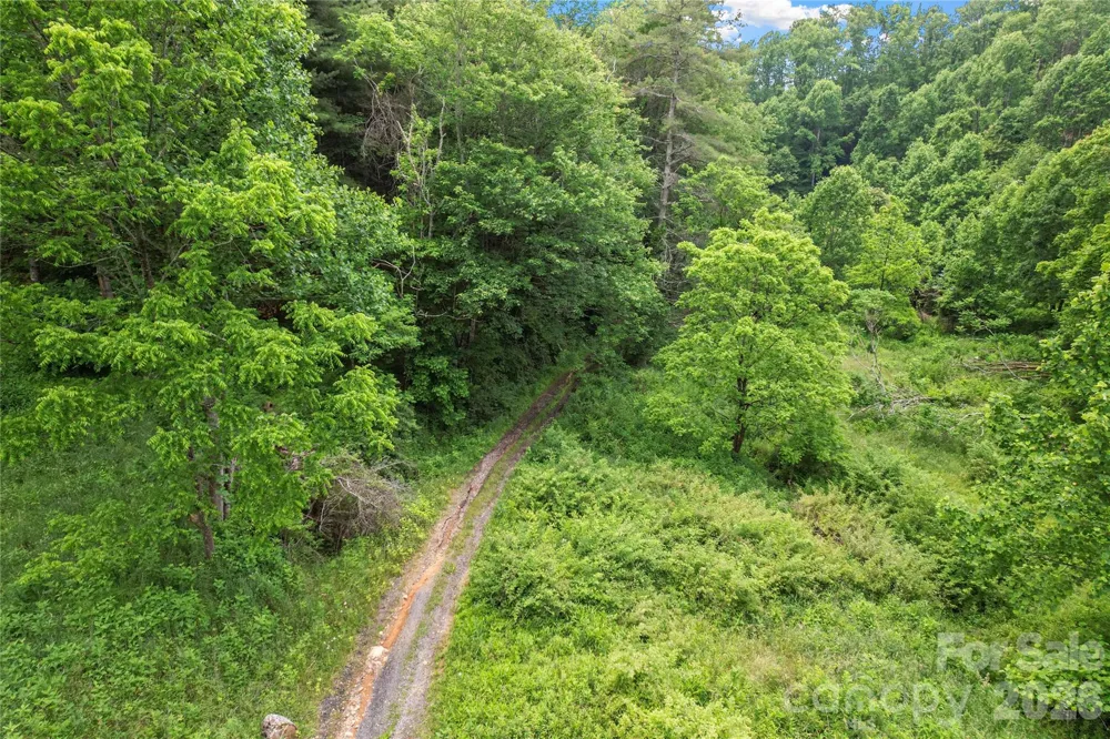000-000 Bee Branch Road #14AC Bakersville, NC 28705