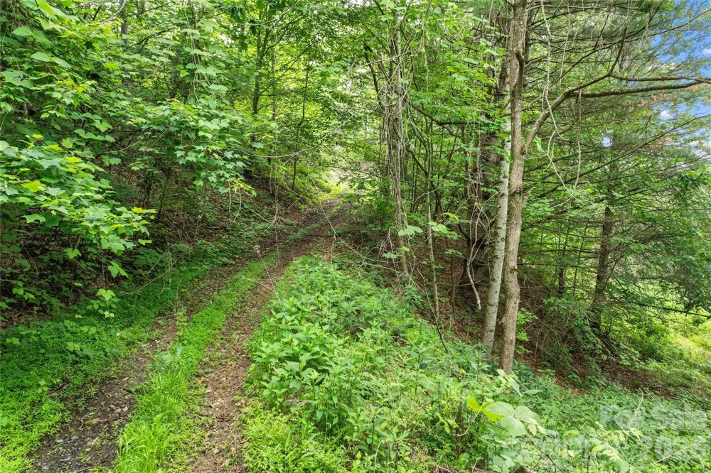 000-000 Bee Branch Road #14AC Bakersville, NC 28705
