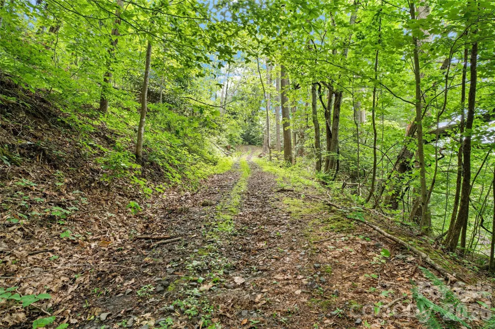 000-000 Bee Branch Road #14AC Bakersville, NC 28705
