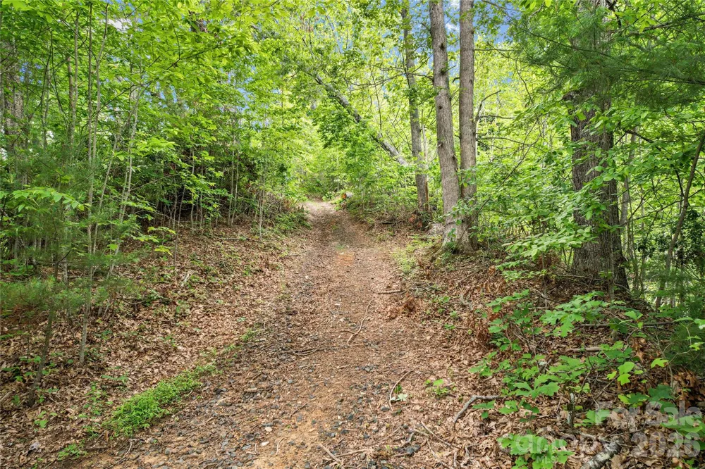 000-000 Bee Branch Road #14AC Bakersville, NC 28705