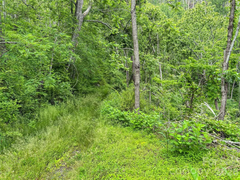 000-000 Bee Branch Road #14AC Bakersville, NC 28705