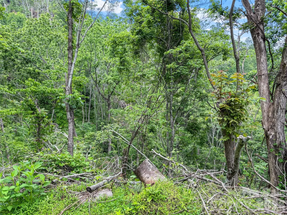 000-000 Bee Branch Road #14AC Bakersville, NC 28705