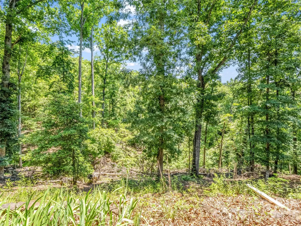 137 Amys Ridge Road Lake Lure, NC 28746