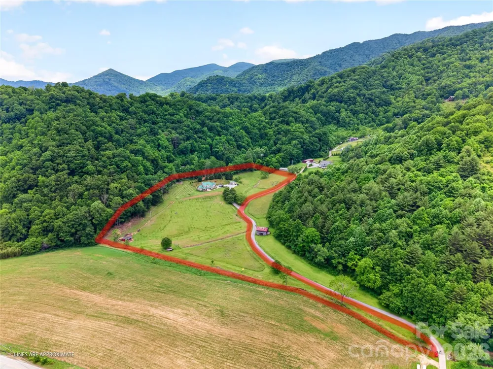 227 Black Bear Cove Clyde, NC 28721